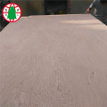3mm 6mm Pine BBCC Veneer Plywood