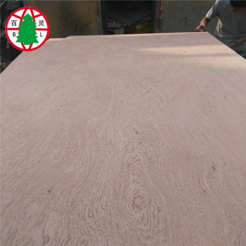 Madera contrachapada de la chapa del pino BBCC de 3m m 6m m