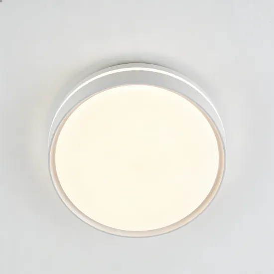 Elegant round flush ceiling light