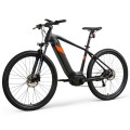 Individuelle Ebike -Vermietungen in meiner Nähe