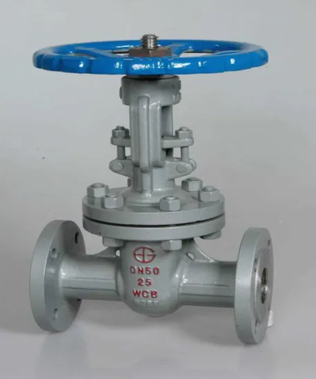 High Demand Products titanium Gate Valve