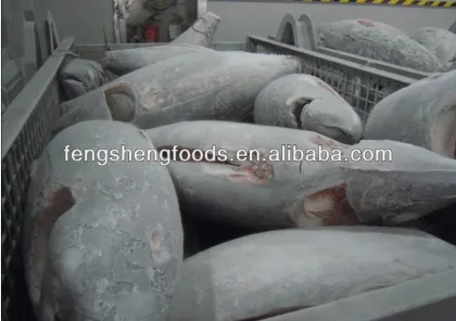 sashimi grade frozen bigeye tuna seafood