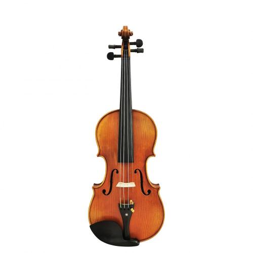 Master geavanceerde hoogwaardige esdoornhouten viool