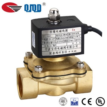 The high quality brass dc 24v solenoid valve in chaina supplier
