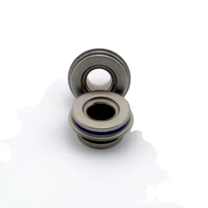 Flowserve Double Mechanical Seal Replacement: Aesseal Type 21 Parts