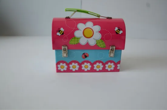 special shaped with handle lunch tin can