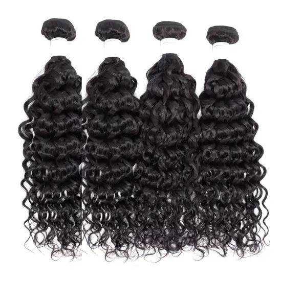 Brazilian Water Wave Bundles with Closure Virgin Human Hair Extensions Wet and Wavy Bundles with Free Part Lace Closure