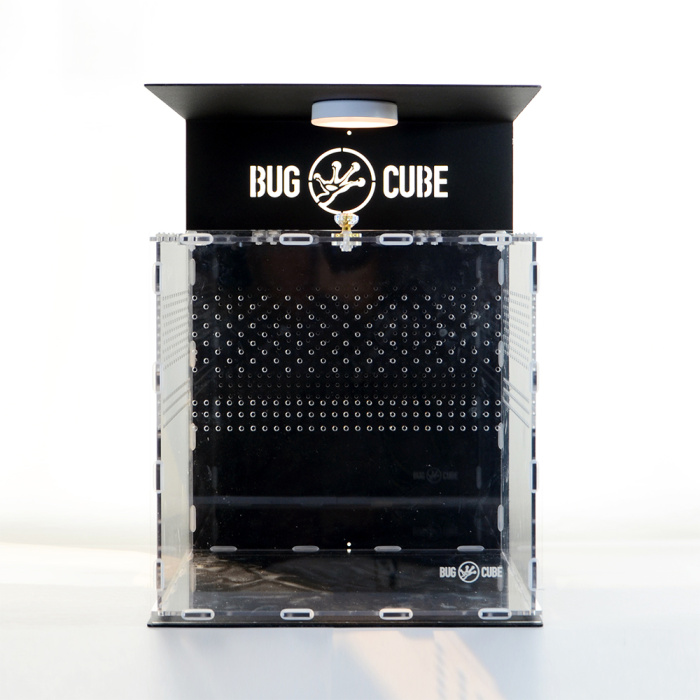 Caixa de criação de lagartos acrílicos de tamanho personalizável