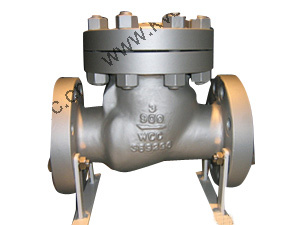 Full Swing Check Valve