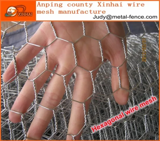 Galvanized/PVC coated Hexagonal Wire Mesh /Livestock Wire Netting