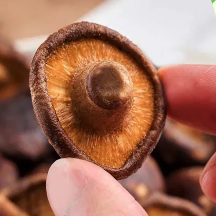 Popular Crispy Snacks: Dried Fruits, Vegetables, and Vegetable & Fruit Chips