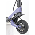 Scooter eléctrico de 2 ruedas 1200W*2