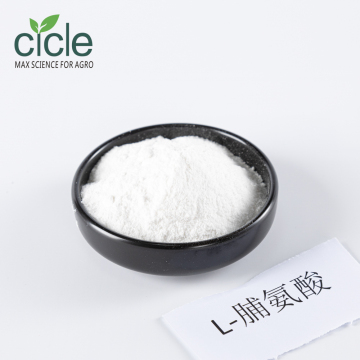 High-Purity L-Proline Supplement for Cellular Repair