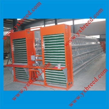 Poultry Farm Automatic Egg Collection System (YX-EC)