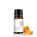 Aceites esenciales de la flor de naranja amarga, aceite esencial de neroli orgánico a granel para la aromaterapia | Grado terapéutico
