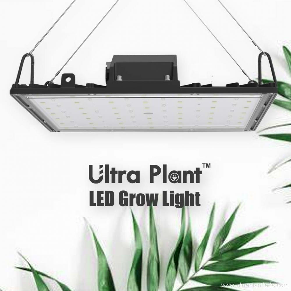 White indoor grow lights for vertical farming