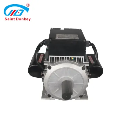 Saint Donkey Permanent Magnet Electric Motor Search
