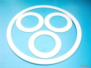Lip Seal PTFE Gasket