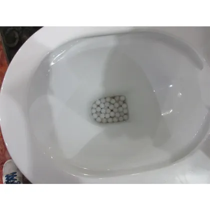 Smart WC Toilet: The Future of Sanitaryware