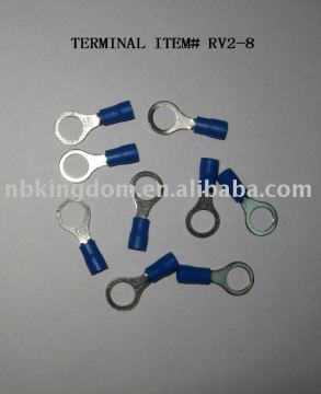 # RV2-8 Terminal &amp; Stecker
