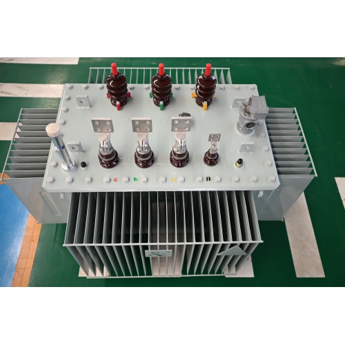 S11-M-30 10KV OIL IMMERSED POWER TRANSFORMER