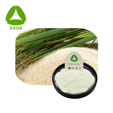 चावल प्रोटीन पाउडर 80% गैर-जीएमओ