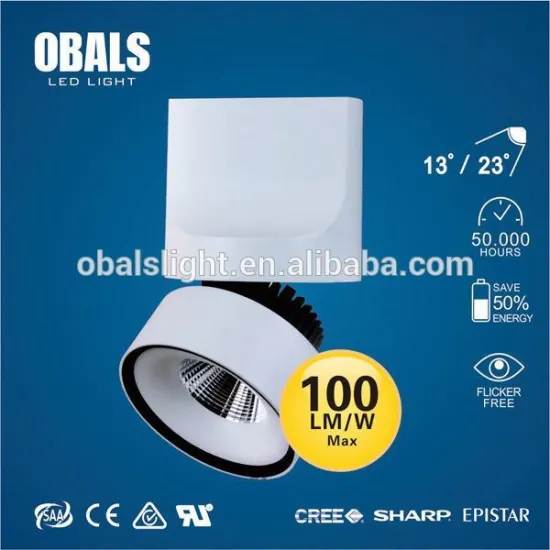6w led ceiling light adjustable ce&rohs&saa JL-EX04TM cob