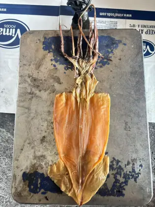 Frozen Dried Calamari Squid – A Unique Seafood Delight