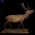 Model rusa ukuran hidup animatronik