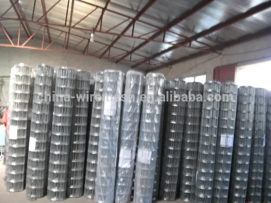 Welded Wire Mesh Leading Manufacture