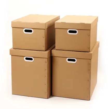 Secure Mailbox for Home Delivery