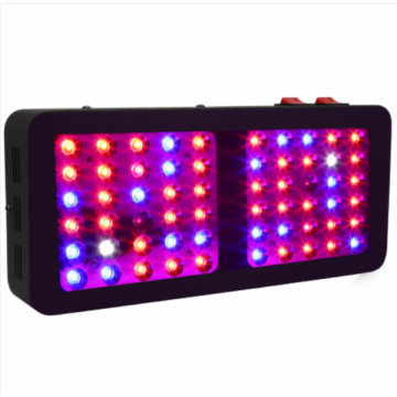 High PAR Value Grow Light LED for Flowers