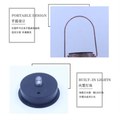 Solar Tin Can Thorn Point Projection Lights