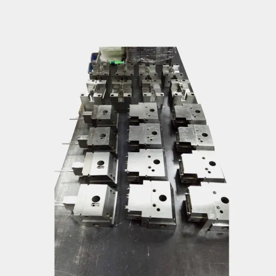 Precision Advanced Progressive Stamping Dies