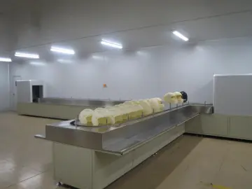 uv spray coating line