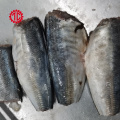 Export And Import Canned Mackerel Fish in Vegetable Oil