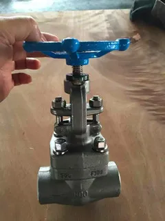 ASTM A182 F316L Globe Valve, 800 LB, 1 Inch, SW