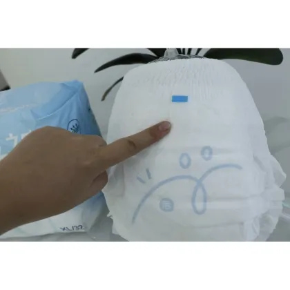 Double Guard Training Diapers