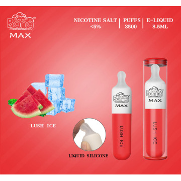 Bang Max 3500 Disposable Vape Pod