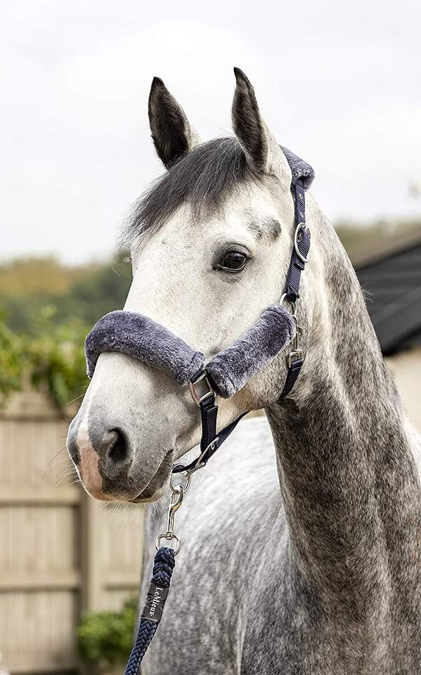 Halter de pele de ovelha para cavalo de venda quente