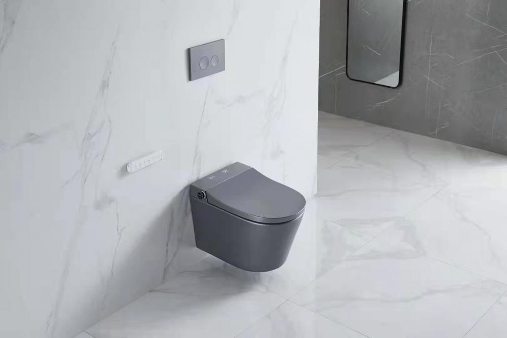 Smart Toilet Hp203329