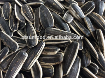 cheap sunflower seeds chinese sunflower seeds