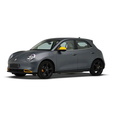 Ora Good Cat 2024 401km Premium Automatic with Leather Seats