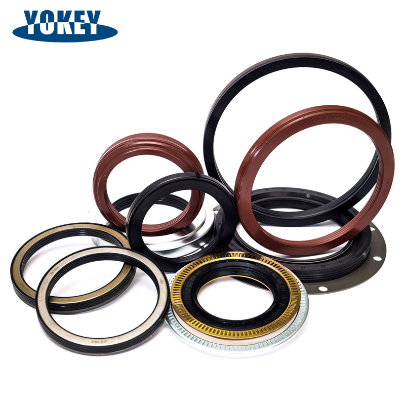 Double Lip Oil Seal Environment Durable Rubber Seal Ring