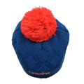 2019 cappello lavorato a maglia con logo ricamato personalizzato acrilico di nuova moda con pompon
