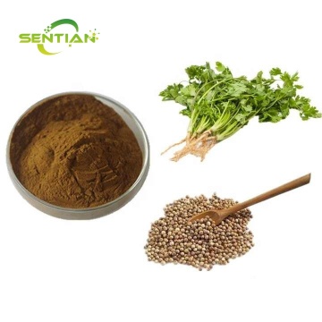 Cilantro Caraway Extract Coriander Seed Extract Powder