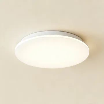 Soft-tone indoor ceiling lamp