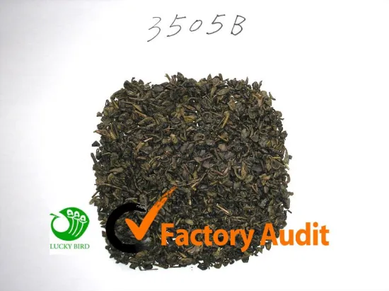 Chinese green tea GUNPOWDER 3505