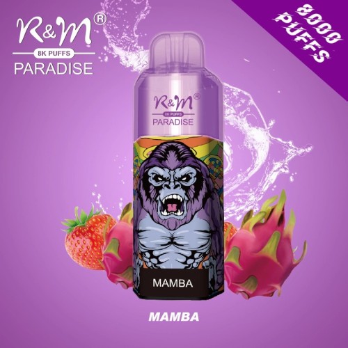 Factory Price R&M PARADISE 8K Disposable