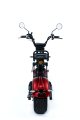 Carregar pesada suspensão completa eco elétrico motocicleta citycoco